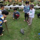 도리원초등학교 병설유치원 이미지