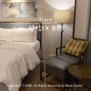 아라리 맥세이프 삼각대 후기 여행용 셀카봉 추천 맥피포드 프로 사용기