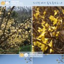 소풍김밥 - 수성구 동대구로12길 20 | 소풍김밥