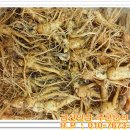 금산인삼 이미지