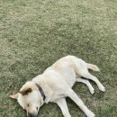 쏠투민박 이미지