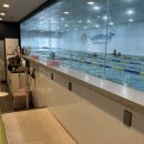 포세이돈 스위밍 아카데미 이미지