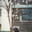 금자오락실 이미지