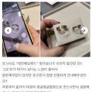 루이엘 | 대전 커플링 “유색보석으로 특별하게 – 대전 웨딩밴드 루이엘 후기” 릴리 다이아몬드 대전점