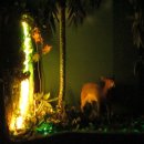 현대컴퓨터게임장 이미지