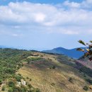 삼정약수터 이미지