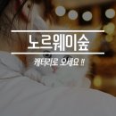 노르웨이숲고양이분양 비행기탔어요!