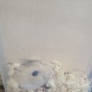 300가즈아 이미지