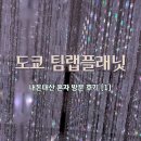 도쿄 팀랩플래닛 내돈내산 후기 관람시간 삼각대 반입