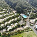 내안의숲 이미지