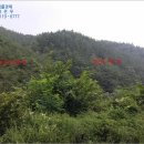 진골천 이미지