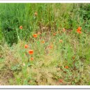 쉼터농장 이미지