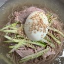 60년 넘게 사랑받은 노포 냉면집,,, 수육까지 꼭 먹어야 하는~ 메밀냉면 맛집! 이미지