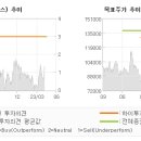 에스티투자개발