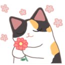 웰스푸드뷔페 이미지
