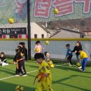 T & B.S 비룡태권도 네이버블로그