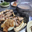 떳다돼지마을