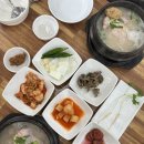 부원 | 연산동 맛집 부산시청 근처 부원삼계탕 점심 메뉴 후기