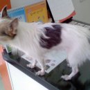 난곡동-47 이미지