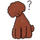 다온펫푸드 이미지