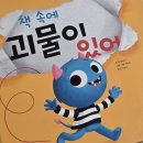 창의융합 그림책 질문놀이(초1~3) | 그레이트북스 도레미곰 전집 후기 뉴라라랜드 도레미곰 비교