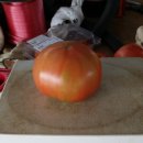 3형제농장 이미지