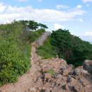 조강철책길 이미지