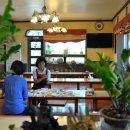 오아시스가든 이미지