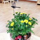 삼죽초교병설유치원 이미지