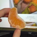 창주농장 이미지