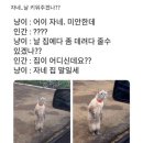 누볼라풀빌라 이미지