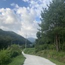 소호 푸른정원 이미지