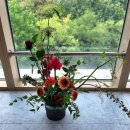 [학습반디_괴안동]꽃과 함께하는 나의 일상 | [학습반디] 꽃과 함께하는 나의 일상 수업 종강 후기