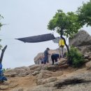 벽운클럽 이미지