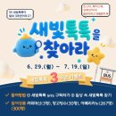 새빛