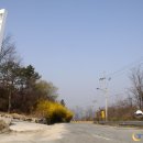 개나리온천 이미지