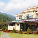 돌풀마루 이미지