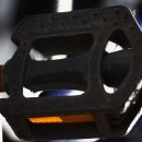 꿈꾸는 나비 이미지