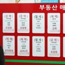'방 1개' 39㎡가 20억…강남은 초소형도 '20억 클럽' 이미지