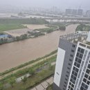 비 피해~ 이미지