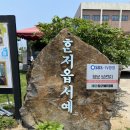제주찰리아저씨