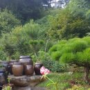 박인수농장 이미지