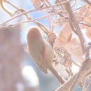 머리풍경 이미지