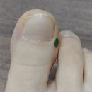 이수민에스테딕