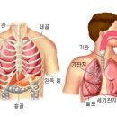 보컬트레이닝 이미지