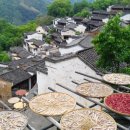 무원농장 이미지