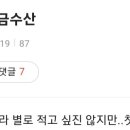 같은이름 다른곳 꼴지산행 금수산^ 이미지