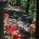 좋은 아침 이미지