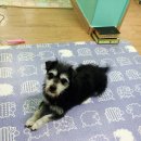 추정2리 이미지