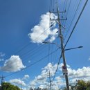 스타벅스 파주문산DT점 이미지